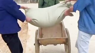 Funny video today..