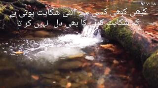 Water flow, trees and stream.