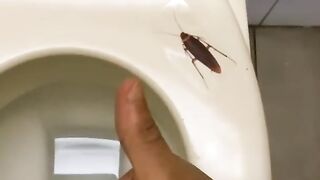OMG! Roach Prank in Public! - orzutiextra funny TikTok !