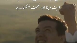 Must see true words ????????????