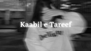 Kaabil e Tareef lofi song slowed and reverb song