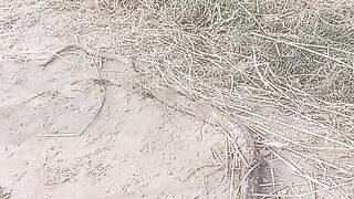 The snake! Animal! Entertainment