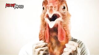 Funny song