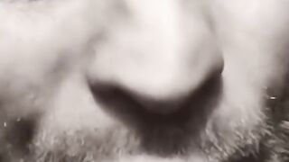 любовь