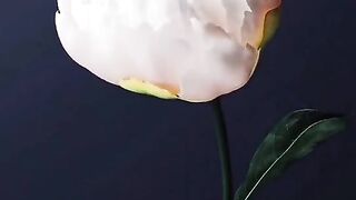 Cute baby video
