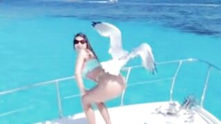 Funny video don't laugh ????