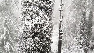 Snow fall