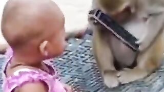 Funny video