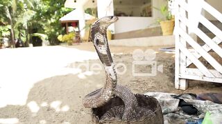 istock-466988444-preview.