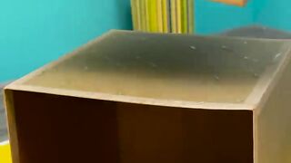 Best Carboard Ideas of Fun for the Kinds/Children