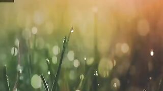 Dill mĀñg rĀhä hÄiī moHlÄt...????❤️✨..