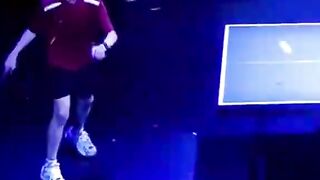 collection of funny videos