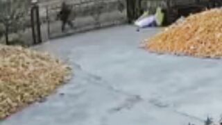 Farmer narrowly escapes tiger attack