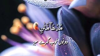 Tilawat e Quran paak