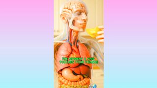 WHAT HAPPENS WHILE EATING CHIPS IN HUMAN BODY