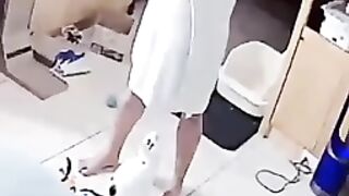 The kitty thought it was a mouse. The owner was shocked.