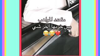 عربی کی مستی