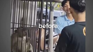 Niat menang malah AFK!!! Memelucu