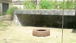 Seorang pria tewas setelah diserang seekor singa betina di Taman Arruda Câmara (Bica) di João Pessoa, Brasil.