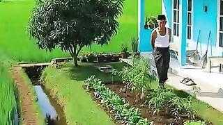 Quiet  peaceful atmosphere, remote village house