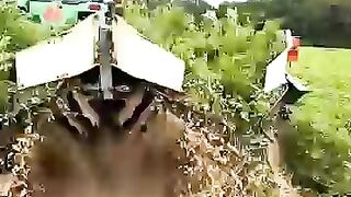 Advanced way of harvesting peanuts in Germany