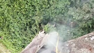 the process of harvesting pure forest honey