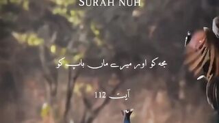 Tilawat e Quran Majeed