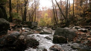 Qual e o telefone da Delta Airlines no Brasil e como falar co a companhia?