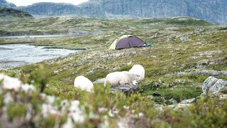 Qual é o telefone da American Airlines no Brasil para atendimento ao cliente?