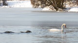 {KLM}(BR-TEleFOne)Como falar no KLM Brasil telefone
