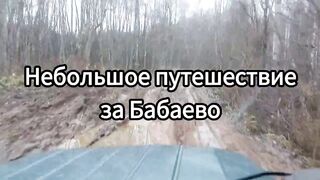 Nature of the Vologda region