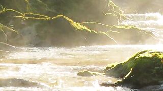 the sound of trickling water