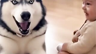 Baby and dog