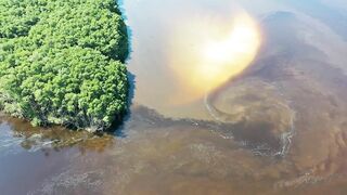 Where the Jungle Shapes the Strong