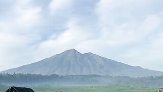 Pemandangan sawah dan gunung