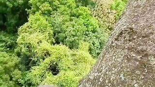 Tarzan can go up but cant go down