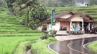 RUMAH VIRAL SAAT HUJAN