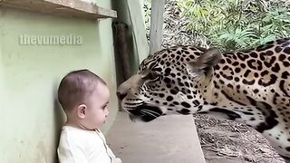 Save little baby moments