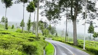 PEMANDANGAN DENGAN 1M