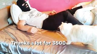 Fun with my cats in bed