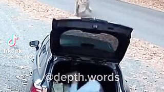 Vous en pensez quoi Cest fascinant