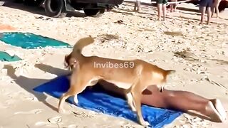 Best Funny Friends