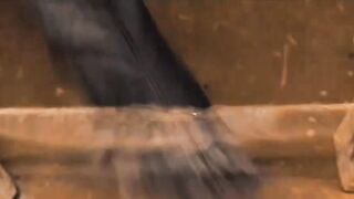 ladys powers to possible win