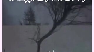 Shariat Ke Masail Seekhain