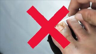 Pineal XT Reviews 2025