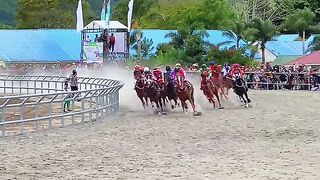 international level horse racing