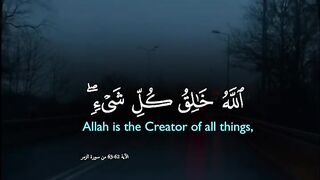 Tilawat e Quran Majeed