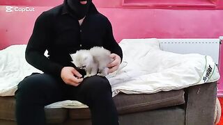 baby Persian kitten surprised me with his strength.
