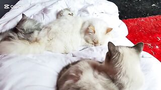 Waking up with my beautiful family