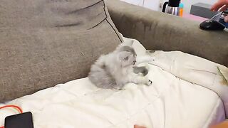 I tried to act like a cat and this is what happened